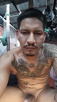 Show webcam de cielo420