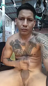 cielo420n Webbikameraesitys
