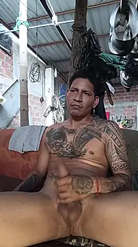 Pertunjukan Kamera Web cielo420