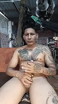 Show Webcam de cielo420