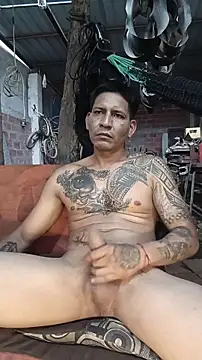 عرض كام cielo420