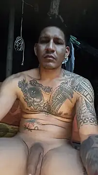Show webcam de cielo420
