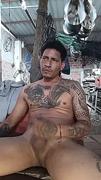 Show webcam de cielo420