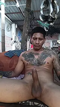Show Webcam de cielo420