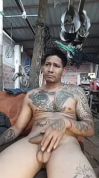 Show Webcam de cielo420