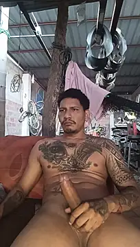 Pertunjukan Kamera Web cielo420