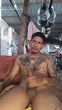 Pertunjukan Kamera Web cielo420