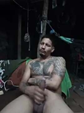 عرض كام cielo420