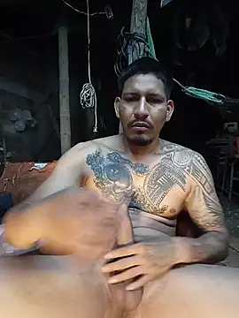 Show Webcam de cielo420