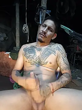 Show webcam de cielo420