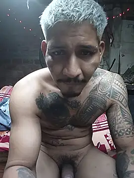 عرض كام cielo420