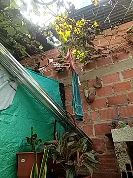 Show de webcam de chikivivi-