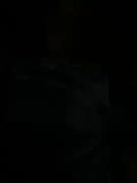 ZF-Athlete webcam show