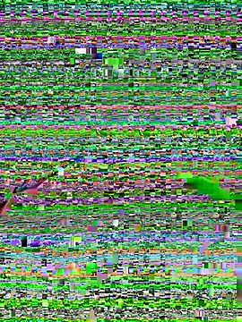 Nutsohard Webcam-Show
