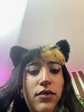 Show de MeowMota_ na webcam