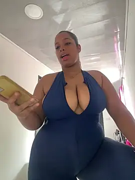 Show Webcam de NV-Nikoll