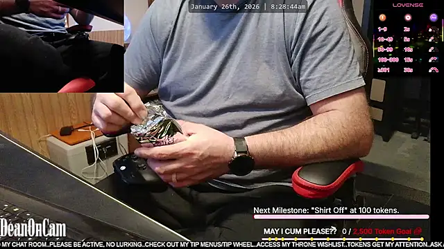 DeanonCam 웹캠 쇼