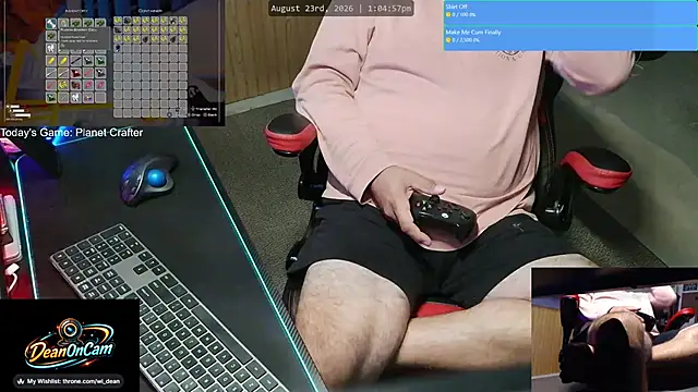 Show Webcam de DeanonCam