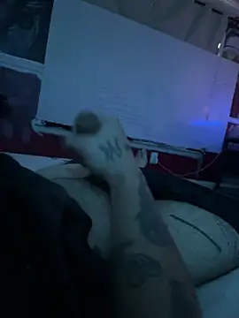 Show Webcam de Busdownsamuels