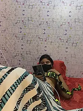 Antique_stickchart_couple webcam show