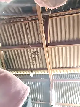 feli-00's Webcam Show