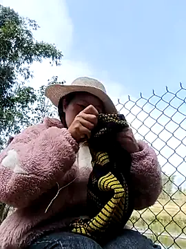 feli-00のウェブカメラショー