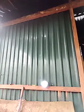 Show Webcam de feli-00