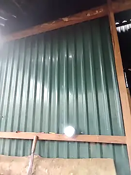 feli-00's Webcam Show