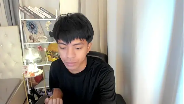 davincihugecock 웹캠 쇼