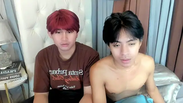 Show webcam de davincihugecock