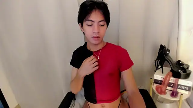Show Webcam de davincihugecock