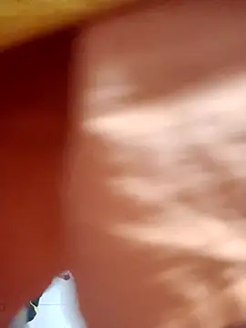 JerryJen11n Webbikameraesitys