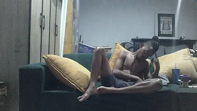 Show webcam de Winterslender