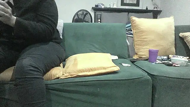 Winterslender Show Webcam