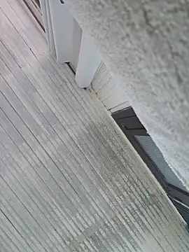 BellaFortuneGaucha Cameră chat live