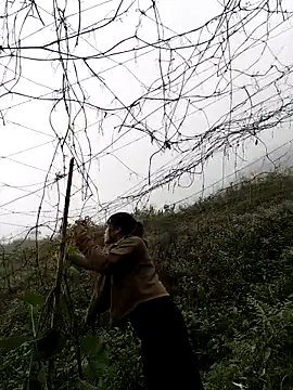 Mimi_sweet1 Show Webcam