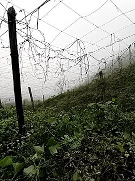 Mimi_sweet1's Webcam Show