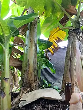 Hivi_09のウェブカメラショー