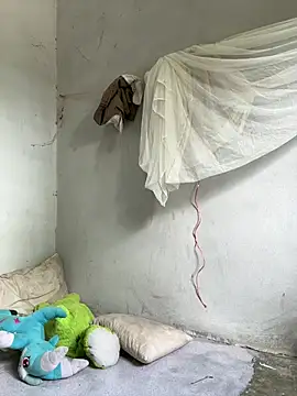 Ponthip Pertunjukan Webcam
