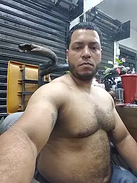 הופעת וובקאם של mago_vive