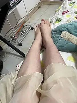 Mloy-01 网络视讯表演