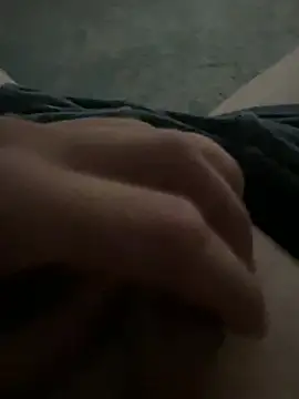 Hamsterdichのウェブカメラショー