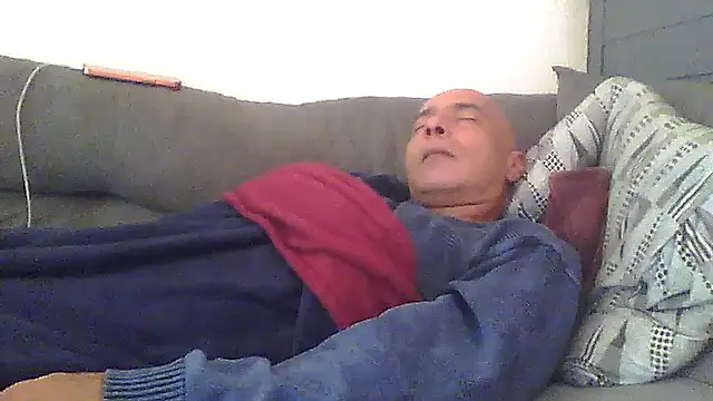 Show de dogfrota na webcam