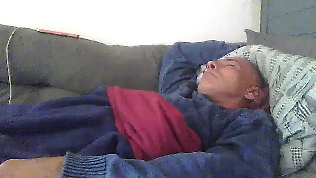 Show de dogfrota na webcam