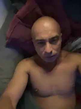 Show de webcam de dogfrota