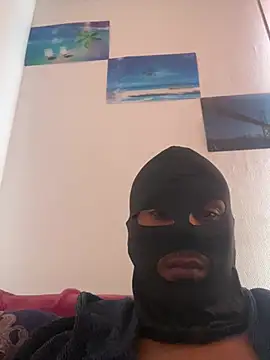 DenHaag31 Show in webcam