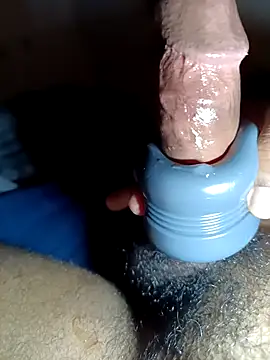 DenHaag31 webcam show