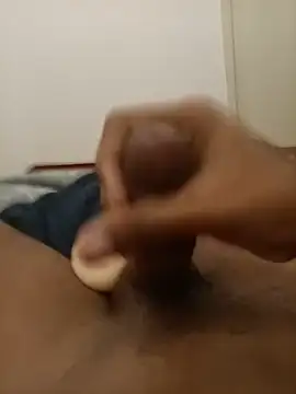 Pertunjukan Kamera Web DenHaag31