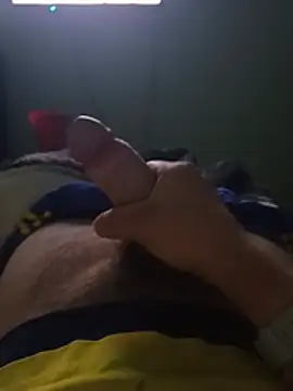 Fenix_238n Webbikameraesitys