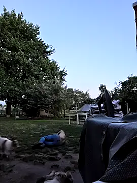 stablemen Webcam show